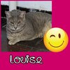 Louise1.jpg